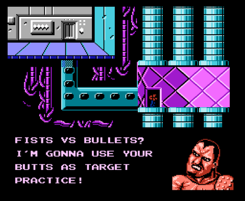 Battletoads & Double Dragon Collector's Edition (NES)