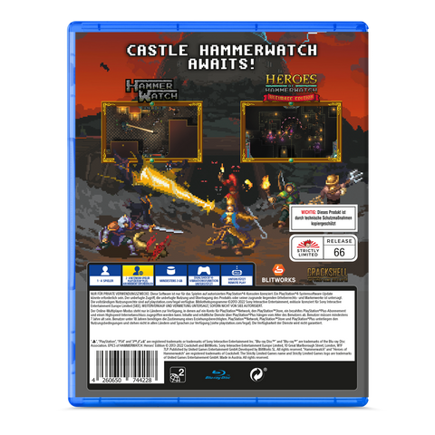 Epics of Hammerwatch: Heroes' Edition (PS4)