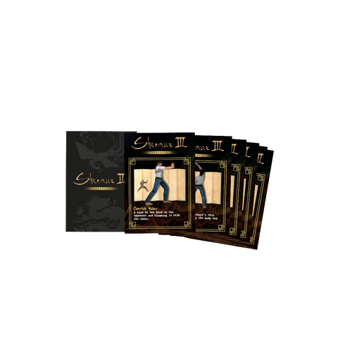 Shenmue III Enhanced - Collector's Edition (Xbox Series X)