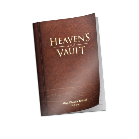 Heaven's Vault Special Limited Edition (NSW)